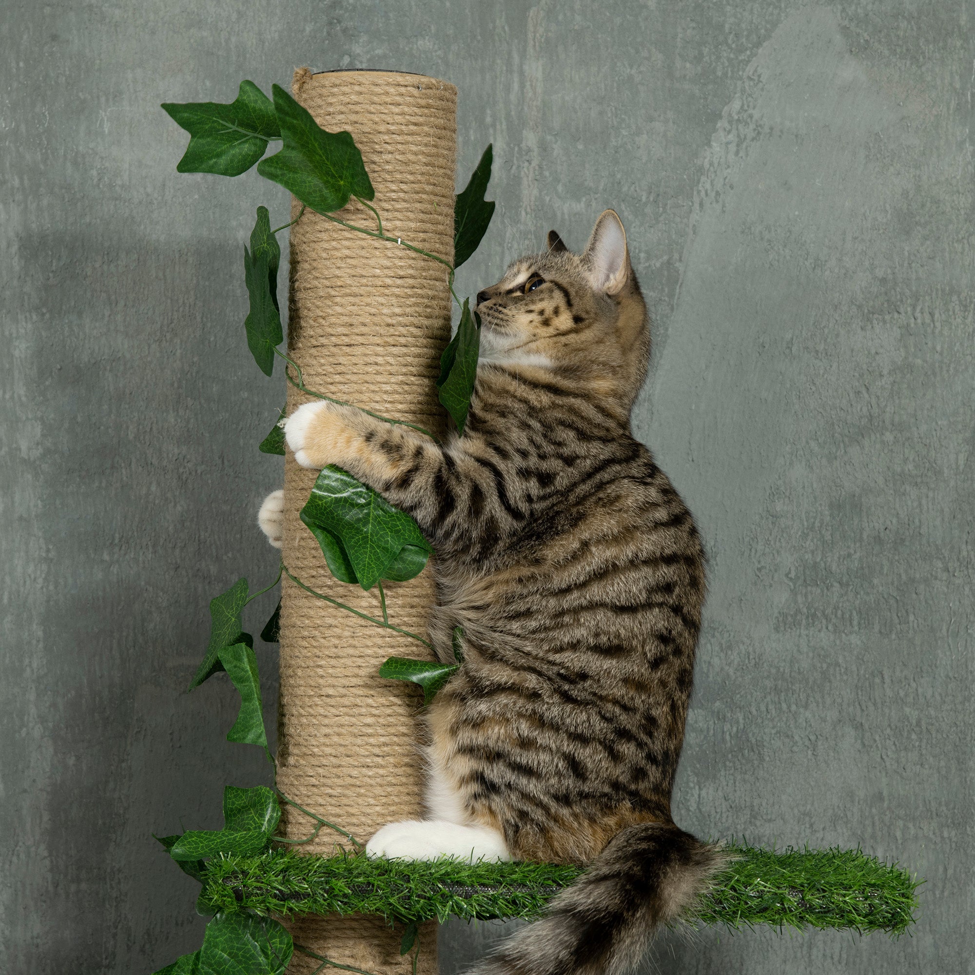 Adjustable 4-Tier Floor to Ceiling Cat Tree with Scratching Post, Green/Yellow Floor to Ceiling Cat Trees   at Gallery Canada