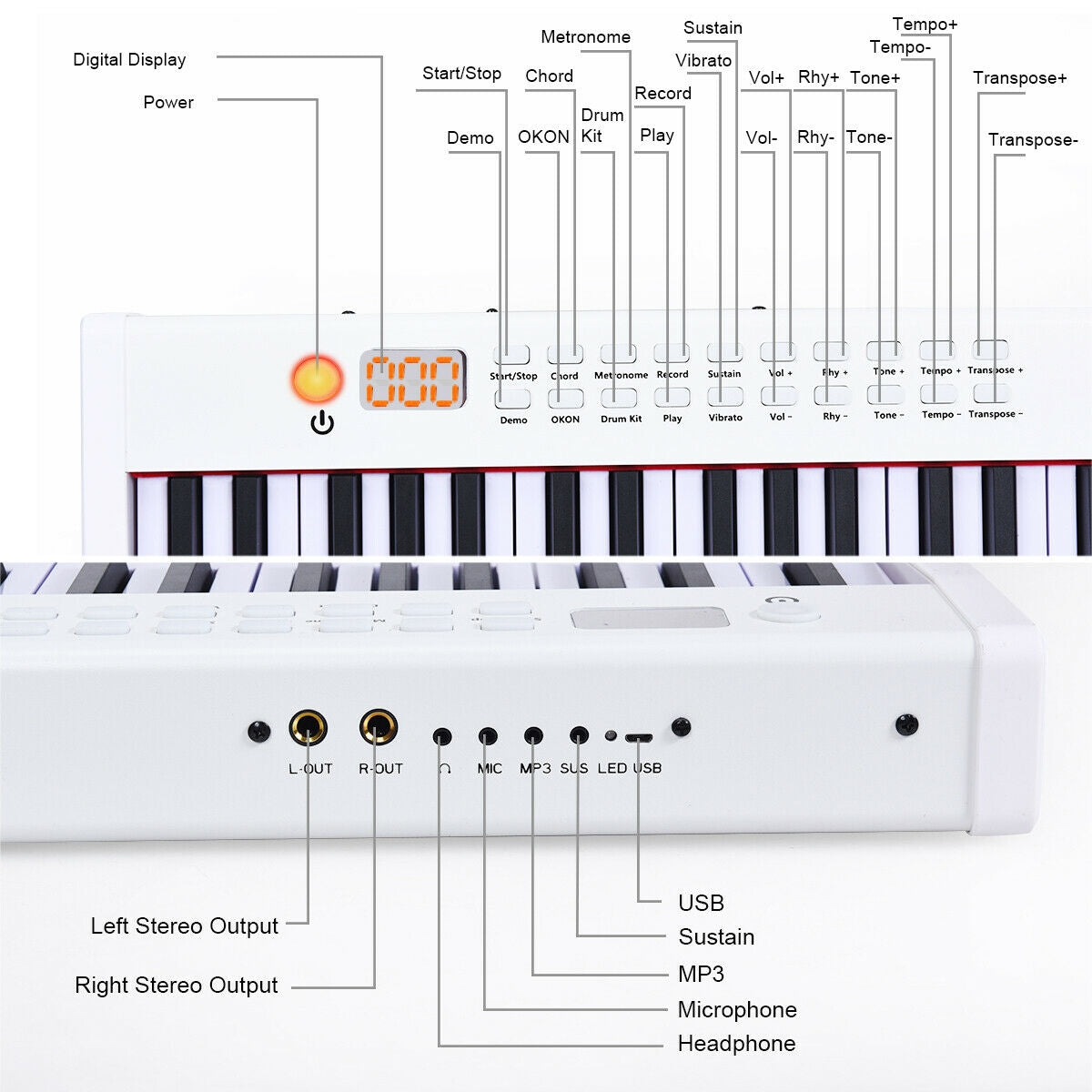 BX-II 88-key Portable Digital Piano with  MP3, White Pianos & Keyboards   at Gallery Canada