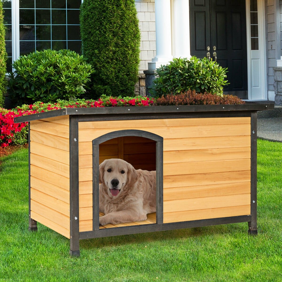 Wood Extreme Weather Resistant Pet Log Cabin-L, Natural Dog Kennels   at Gallery Canada