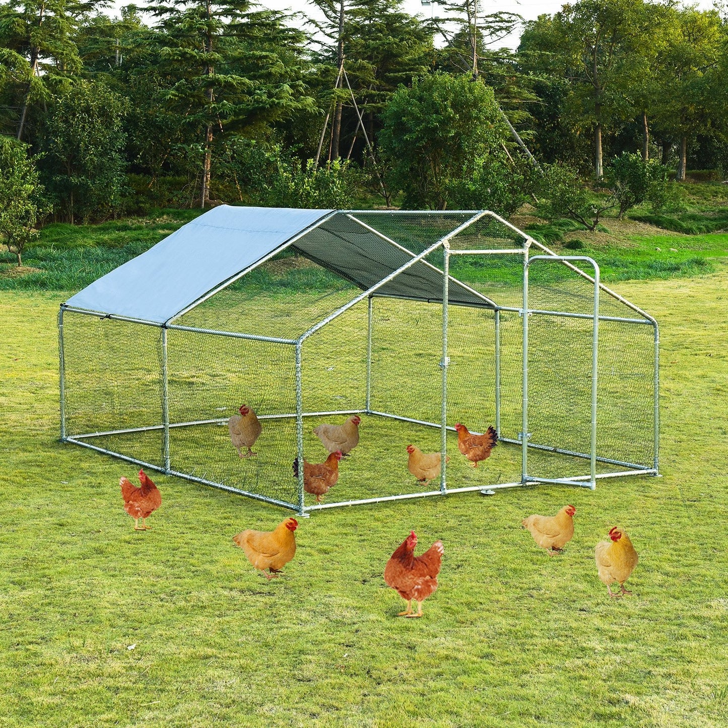 Large Walk in Shade Cage Chicken Coop with Roof Cover-M, Silver Chicken Coops   at Gallery Canada