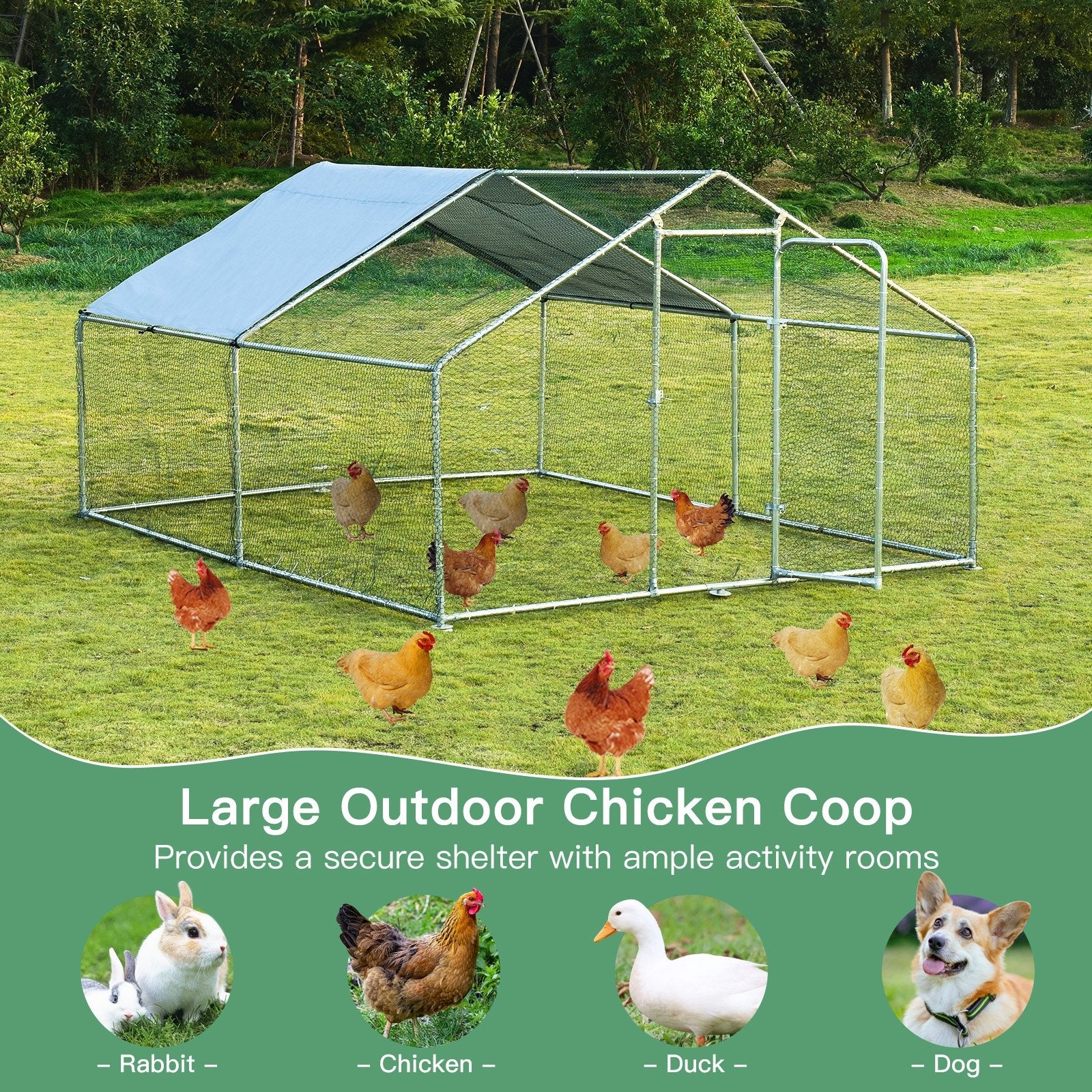 Large Walk in Shade Cage Chicken Coop with Roof Cover-M, Silver Chicken Coops   at Gallery Canada