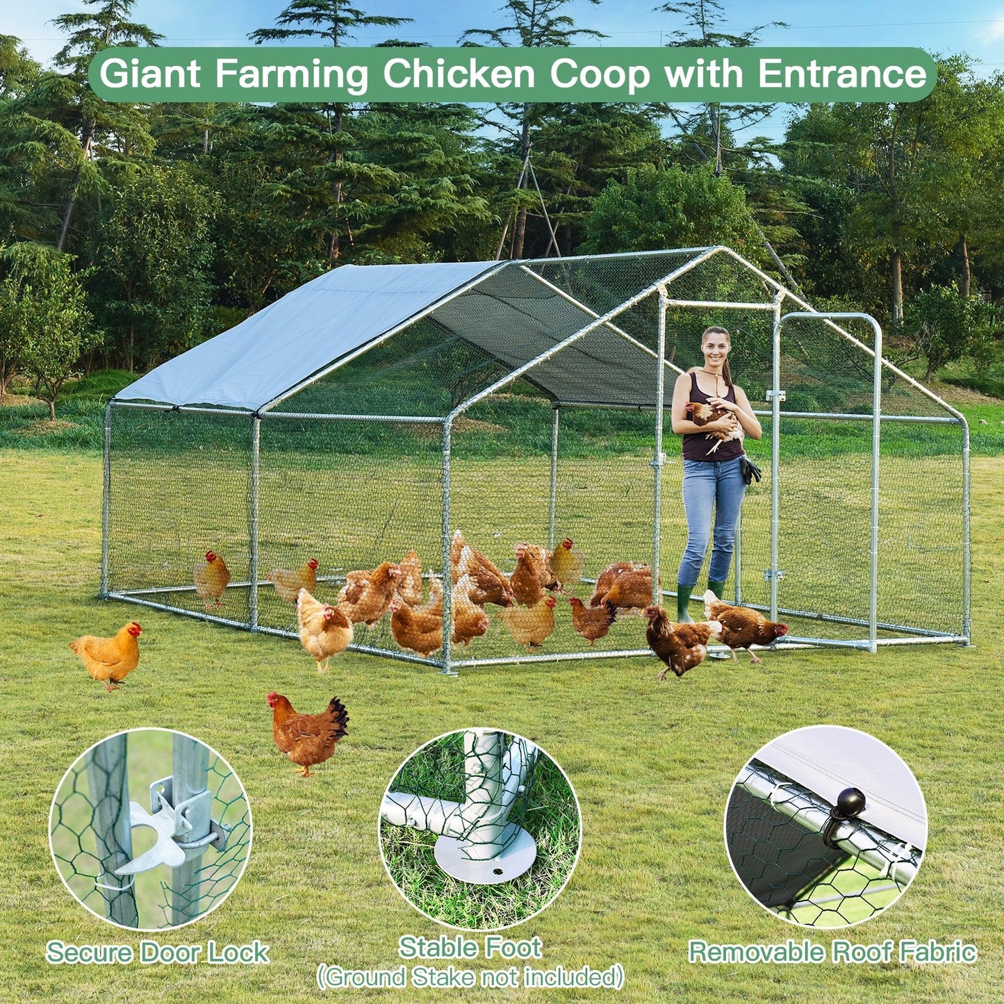 Large Walk in Shade Cage Chicken Coop with Roof Cover-M, Silver Chicken Coops   at Gallery Canada