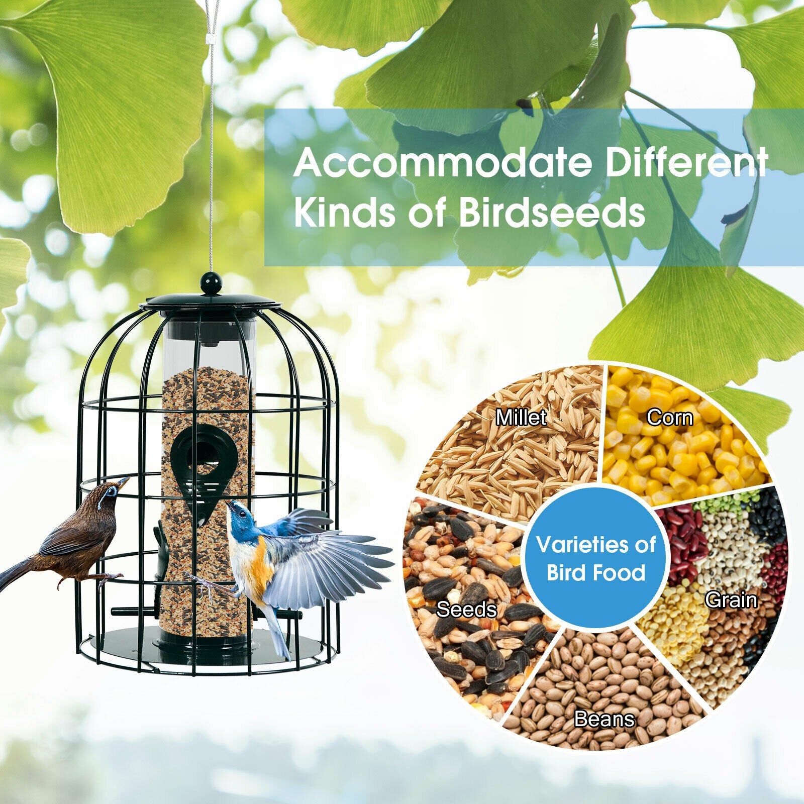 Squirrel-proof Caged Tube Wild Bird Feeder Outdoor Metal Seed Guard Deterrent, Green Bird Supplies at Gallery Canada