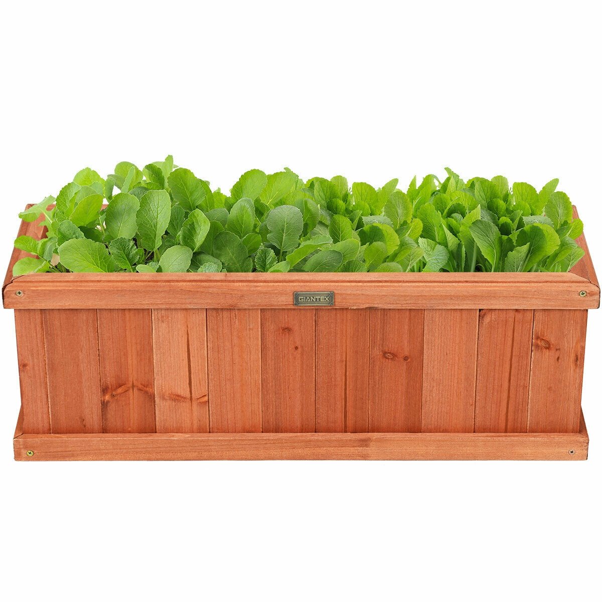 Wooden Decorative Planter Box for Garden Yard and Window , Brown Raised Garden Beds   at Gallery Canada