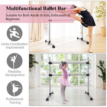 4 Feet Portable Double Freestanding Barre Dancing Stretching, Silver Yoga Accessories   at Gallery Canada