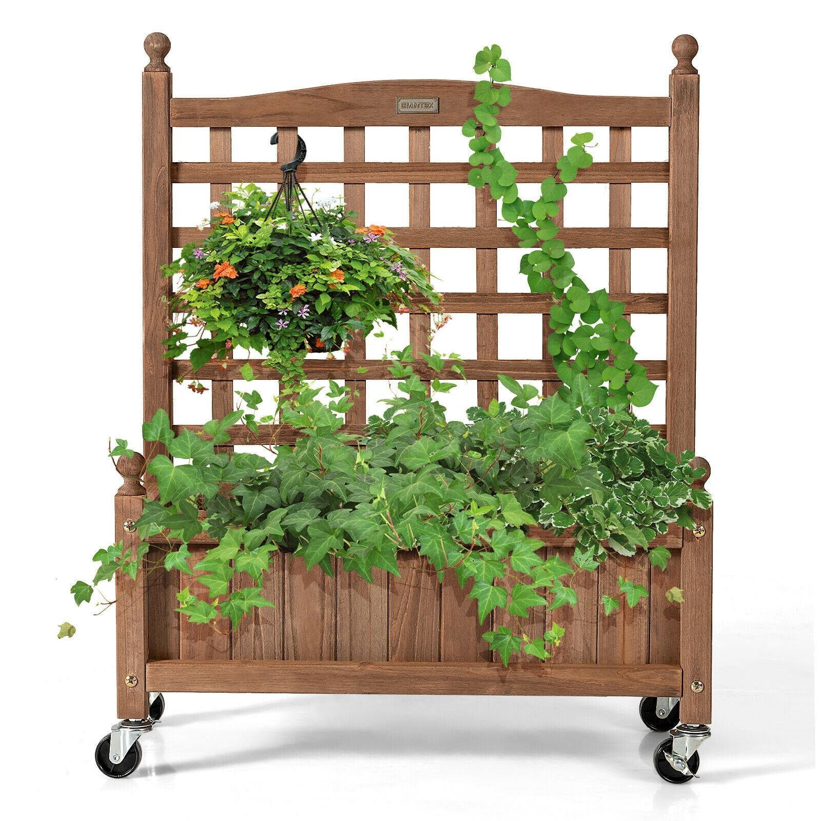 32in Wood Planter Box with Trellis Mobile Raised Bed for Climbing Plant, Brown Raised Garden Beds   at Gallery Canada