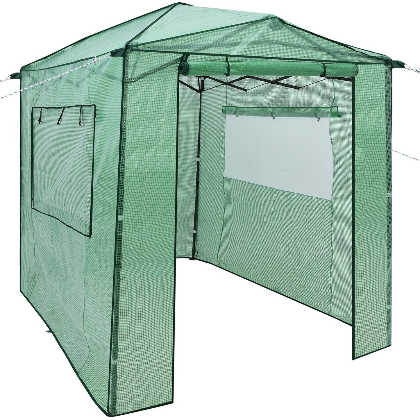 Portable Walk-in Greenhouse  with Window, Green - Gallery Canada