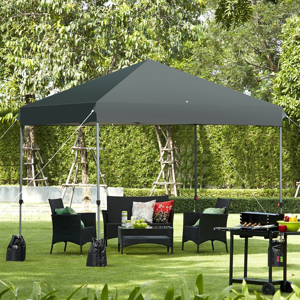 8’x8' Outdoor Pop up Canopy Tent  w/Roller Bag, Gray Canopies   at Gallery Canada