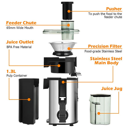 Centrifugal Juicer Machine Juicer Extractor Dual Speed, Silver Juicers & Coffee Machines   at Gallery Canada