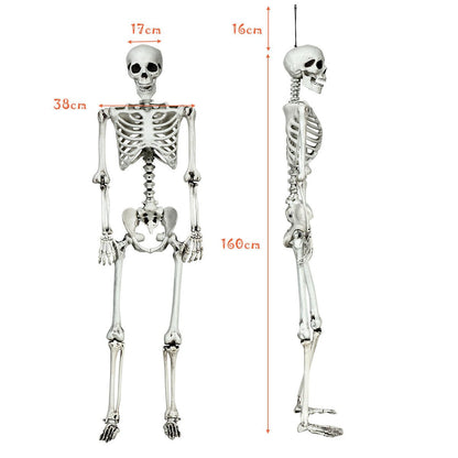5.4 Feet Halloween Skeleton Life Size Realistic Full Body Hanging, White Halloween   at Gallery Canada