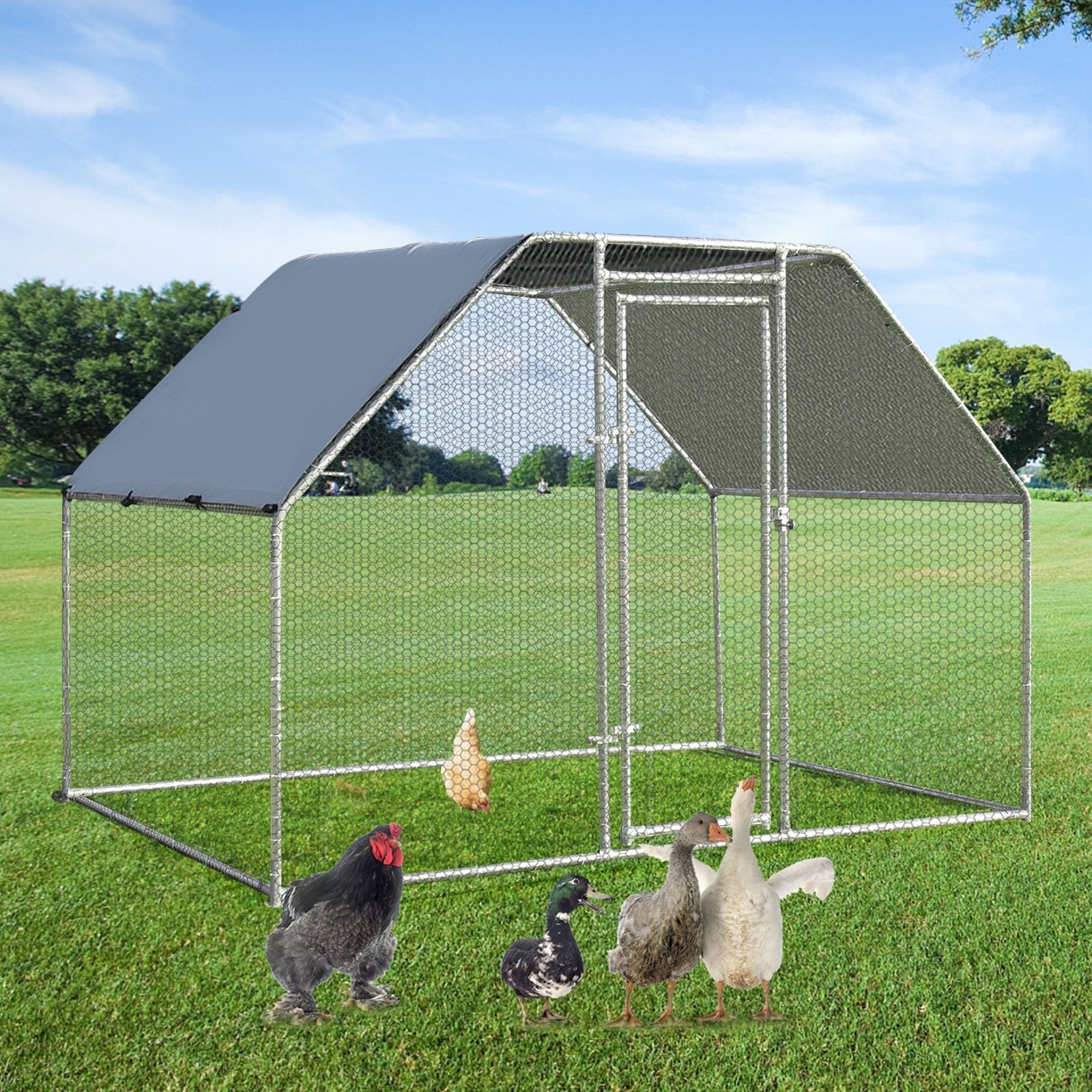 9.5 x 6.5 Feet Large Walk In Chicken Run Cage, Silver Chicken Coops   at Gallery Canada