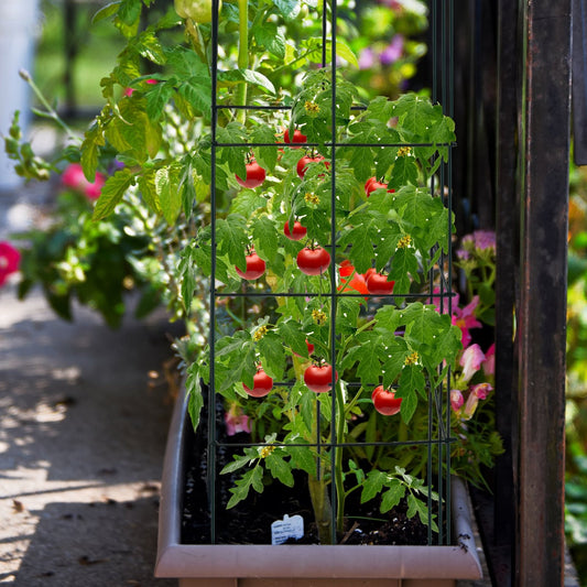 4 Pack Garden Trellis for Climbing Plants for Flower Vegetable, Black Plant Stands   at Gallery Canada