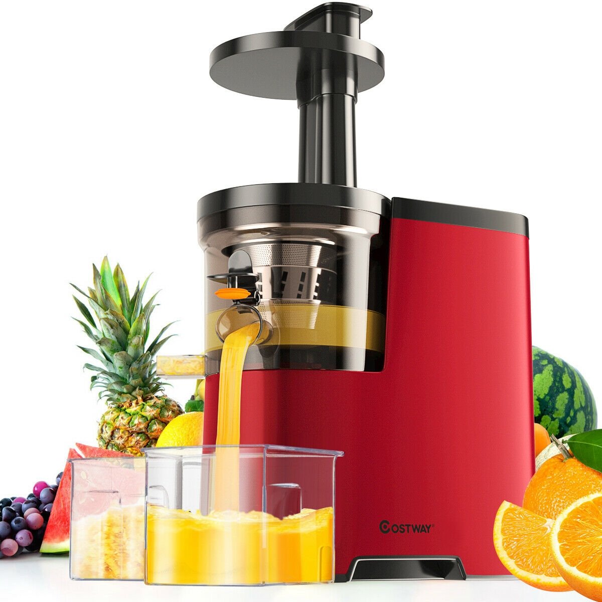 Slow Fruit Vegetable Masticating Juicer Cold Press Extractor - Gallery Canada