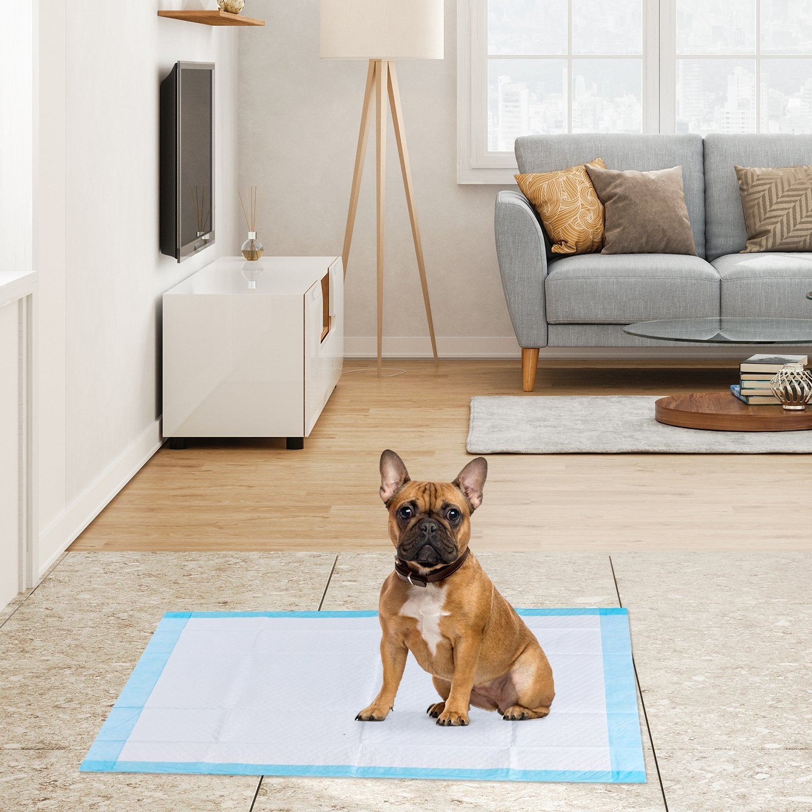 150 Pieces 24 x 36 Inch Pet Wee Pee Piddle Pad-S, Light Blue Dog Supplies at Gallery Canada
