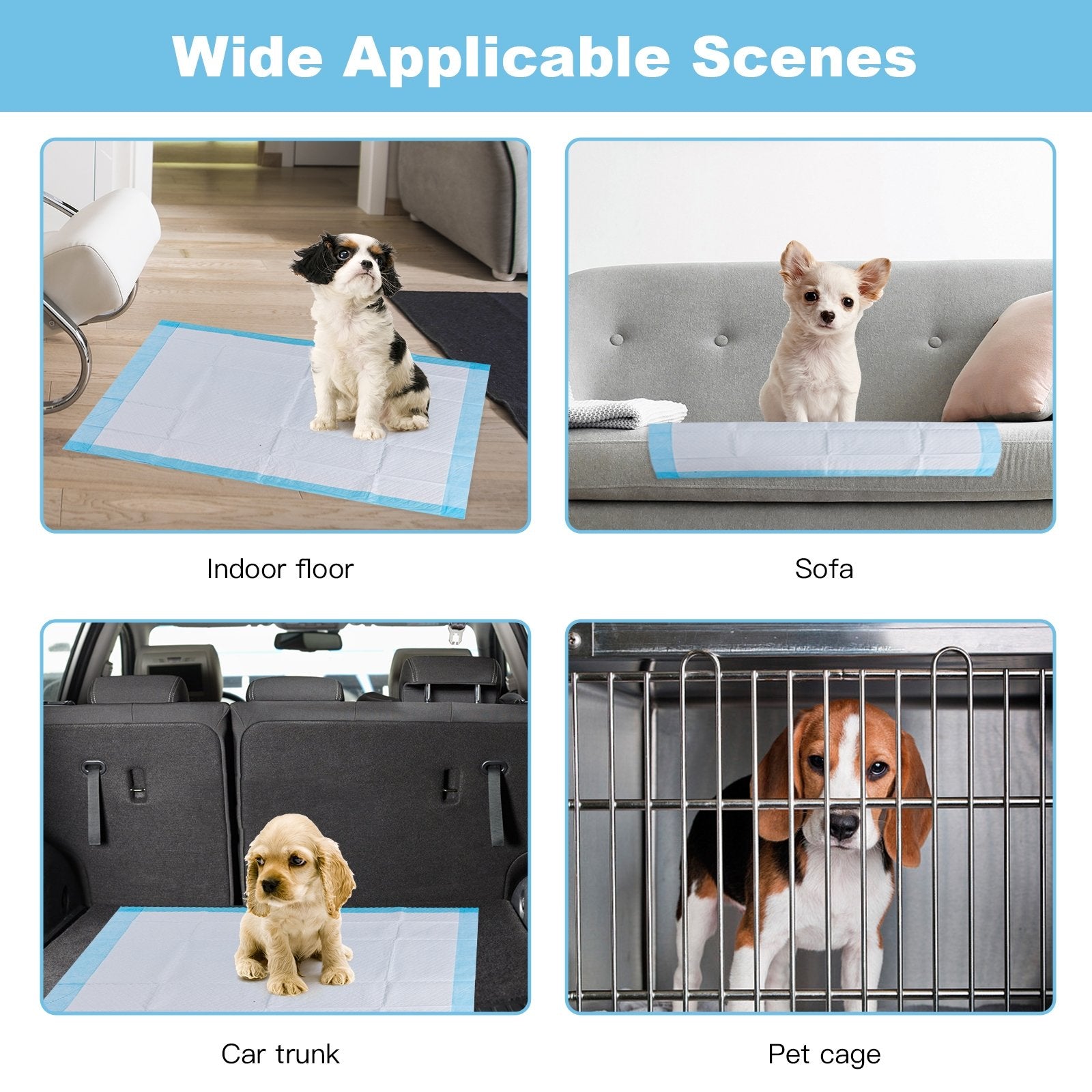 150 Pieces 24 x 36 Inch Pet Wee Pee Piddle Pad-S, Light Blue Dog Supplies at Gallery Canada