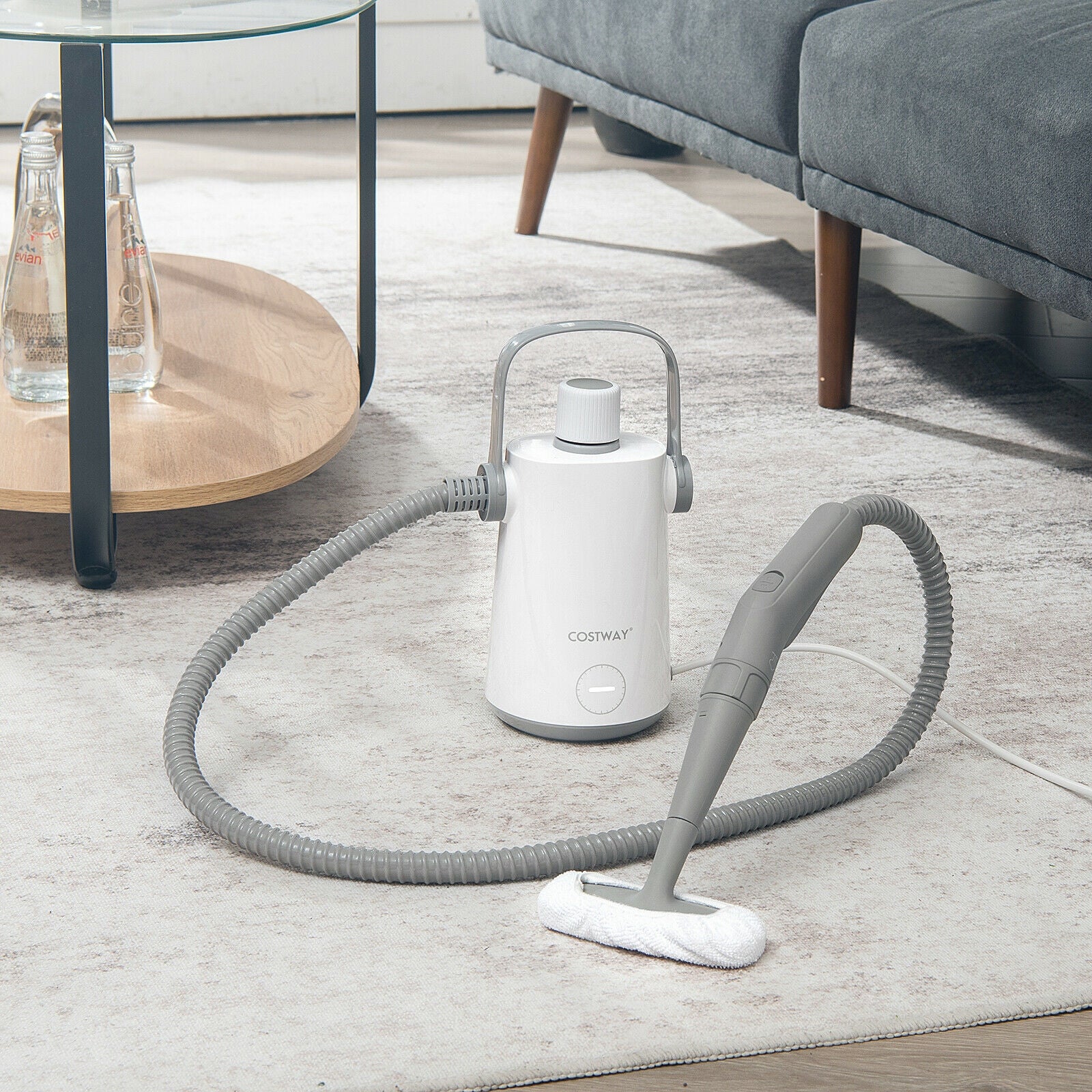 1000W Multifunction Portable Hand-held Steam Cleaner with 10 Accessories, Gray Vacuums & Cleaners at Gallery Canada