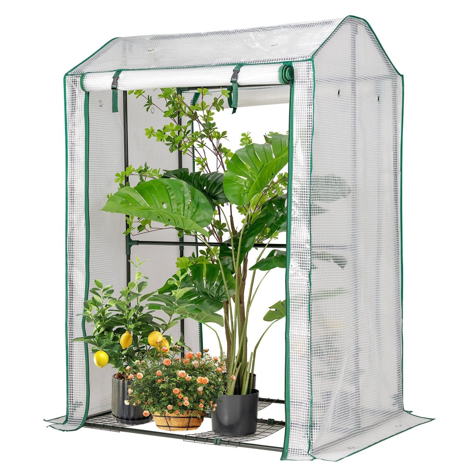 Walk-in Garden Greenhouse Warm House for Plant Growing, White - Gallery Canada