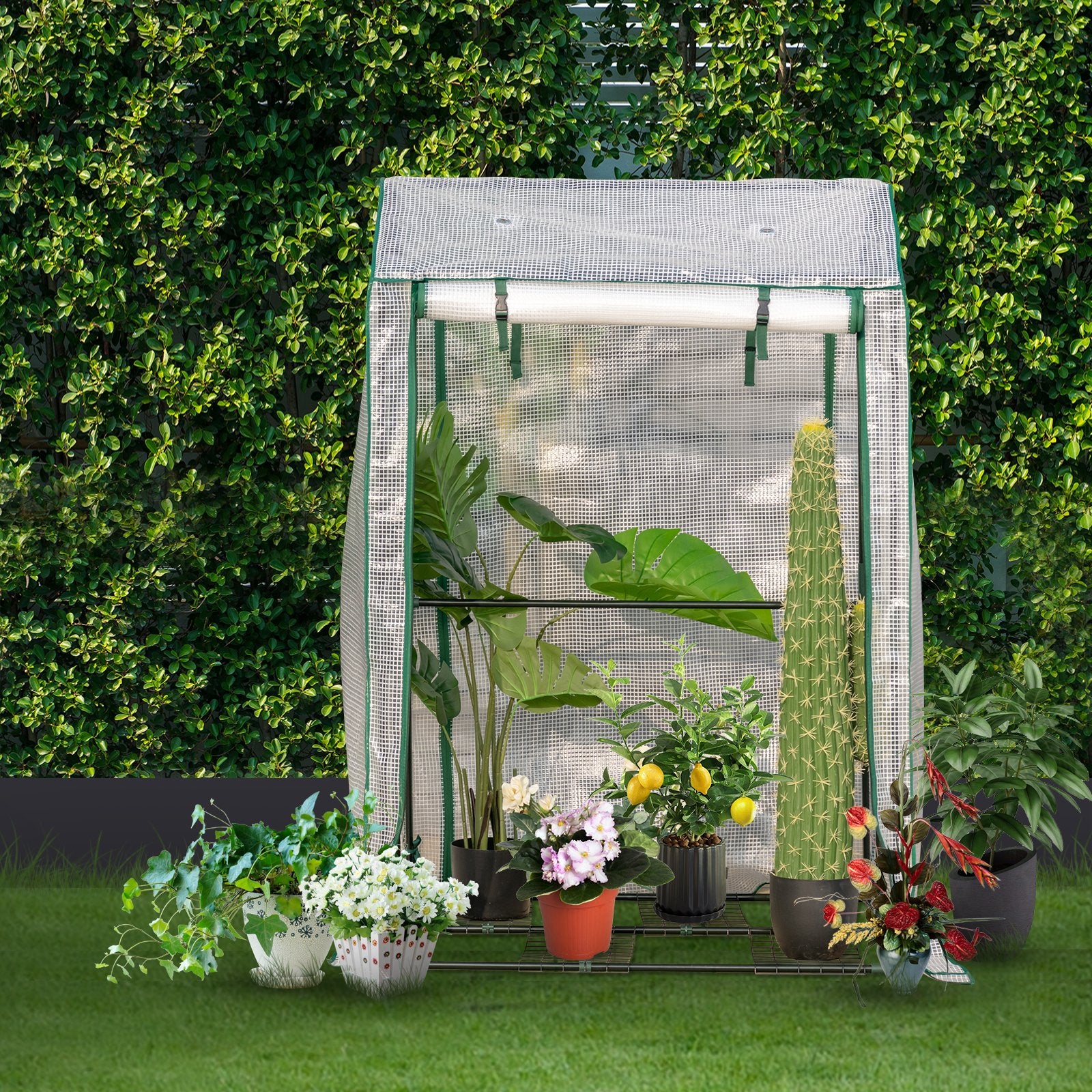 Walk-in Garden Greenhouse Warm House for Plant Growing, White - Gallery Canada