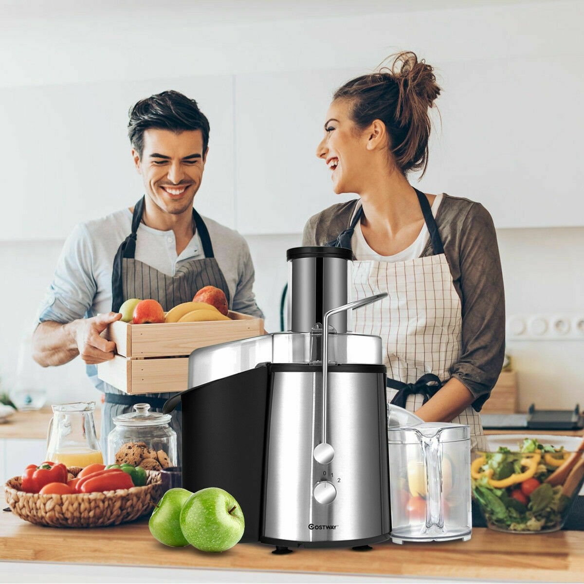 2 Speed Electric Juice Press for Fruit and Vegetable, Silver Juicers & Coffee Machines at Gallery Canada