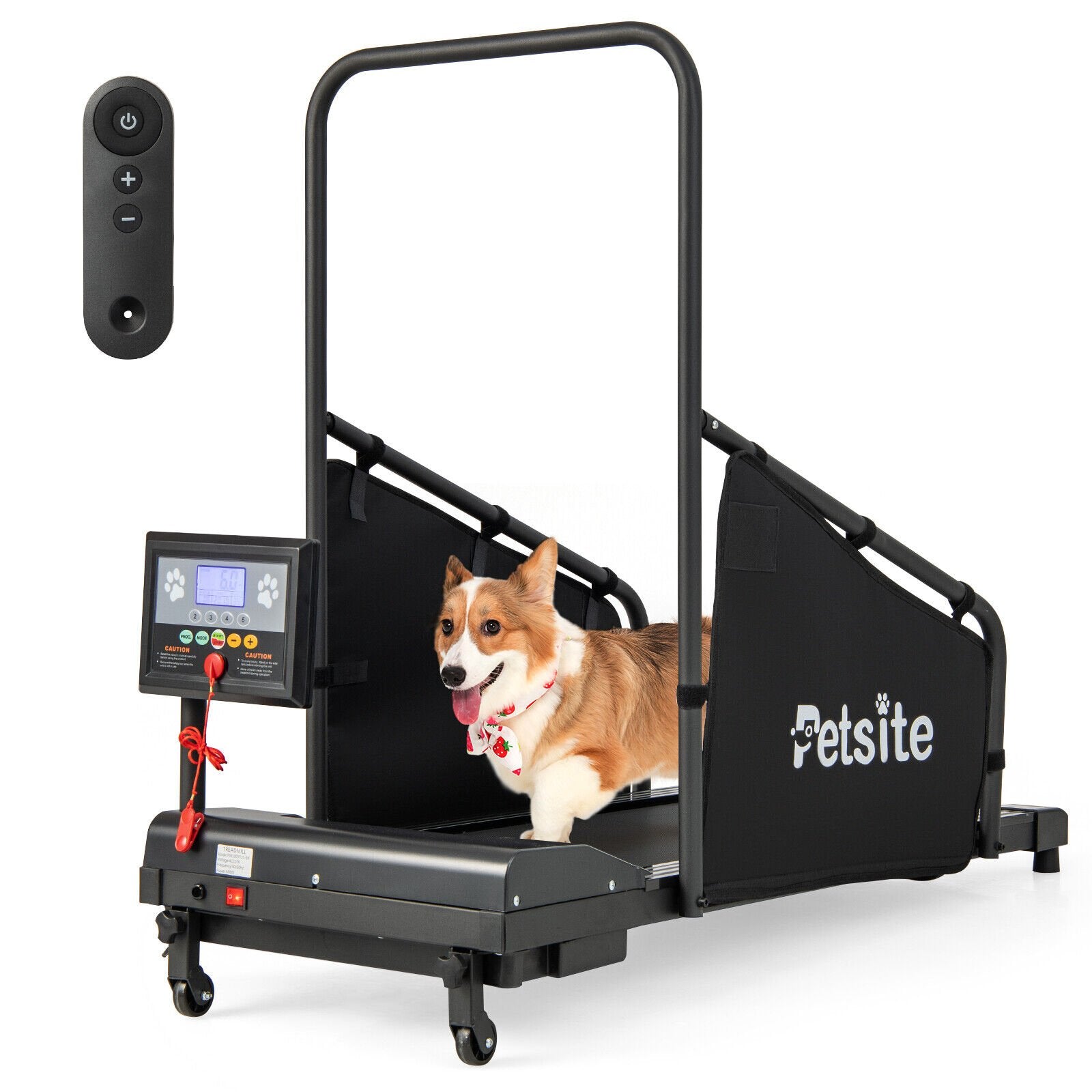 Indoor Pet Exercise Equipment with Remote Control, Black - Gallery Canada