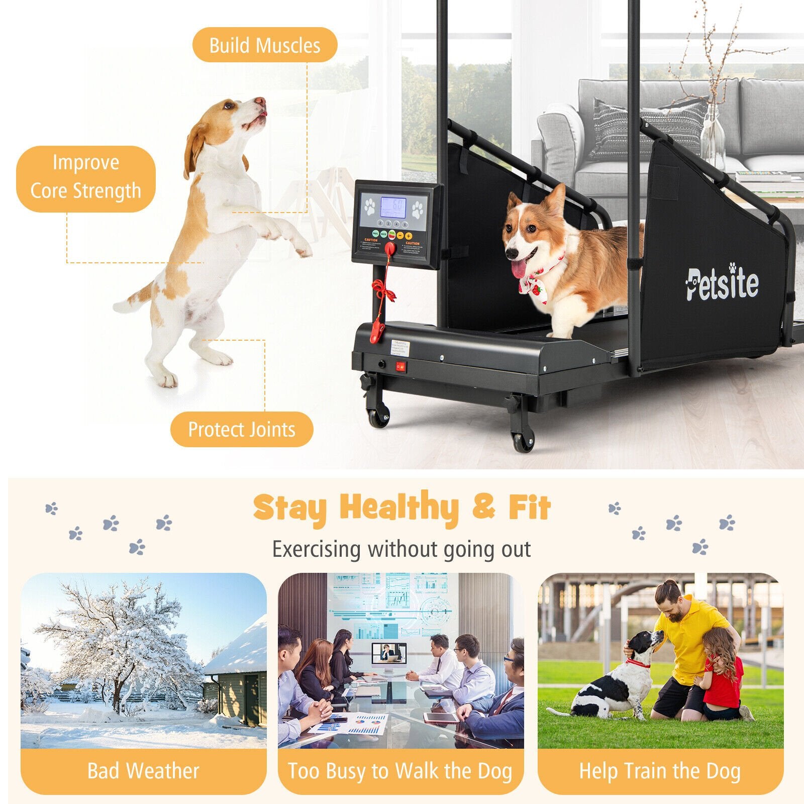 Indoor Pet Exercise Equipment with Remote Control, Black - Gallery Canada