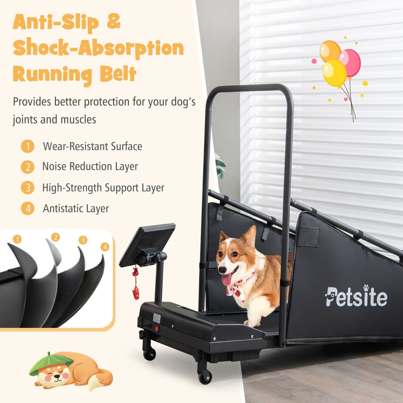 Indoor Pet Exercise Equipment with Remote Control, Black Dog Supplies   at Gallery Canada