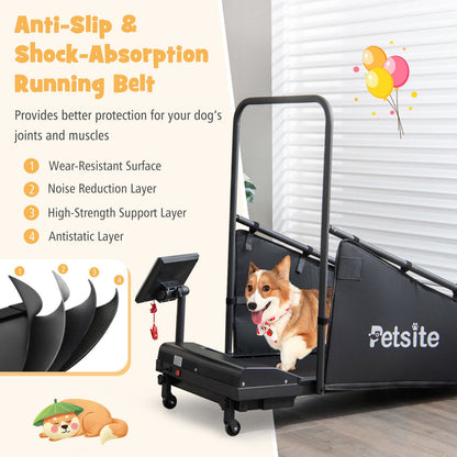 Indoor Pet Exercise Equipment with Remote Control, Black - Gallery Canada