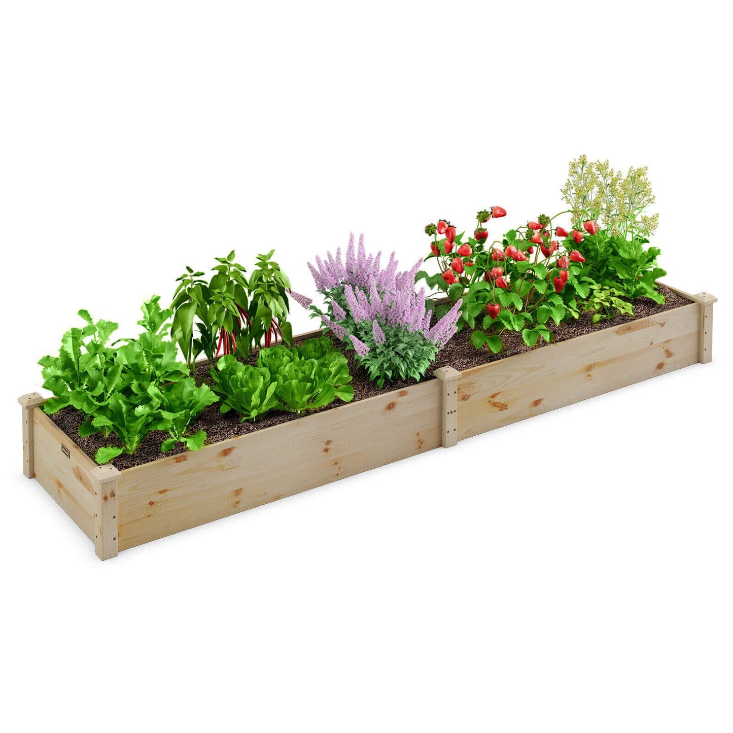 Wooden Raised Garden Bed Outdoor for Vegetables Flowers Fruit, Natural Raised Garden Beds   at Gallery Canada