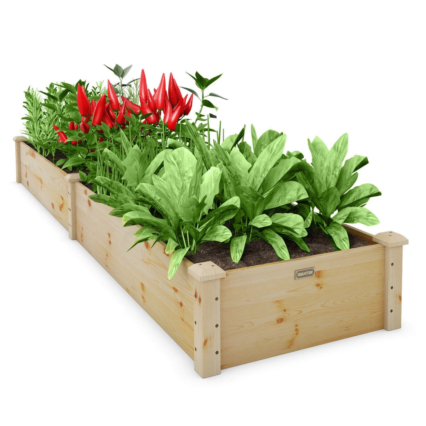 Wooden Raised Garden Bed Outdoor for Vegetables Flowers Fruit, Natural Raised Garden Beds   at Gallery Canada