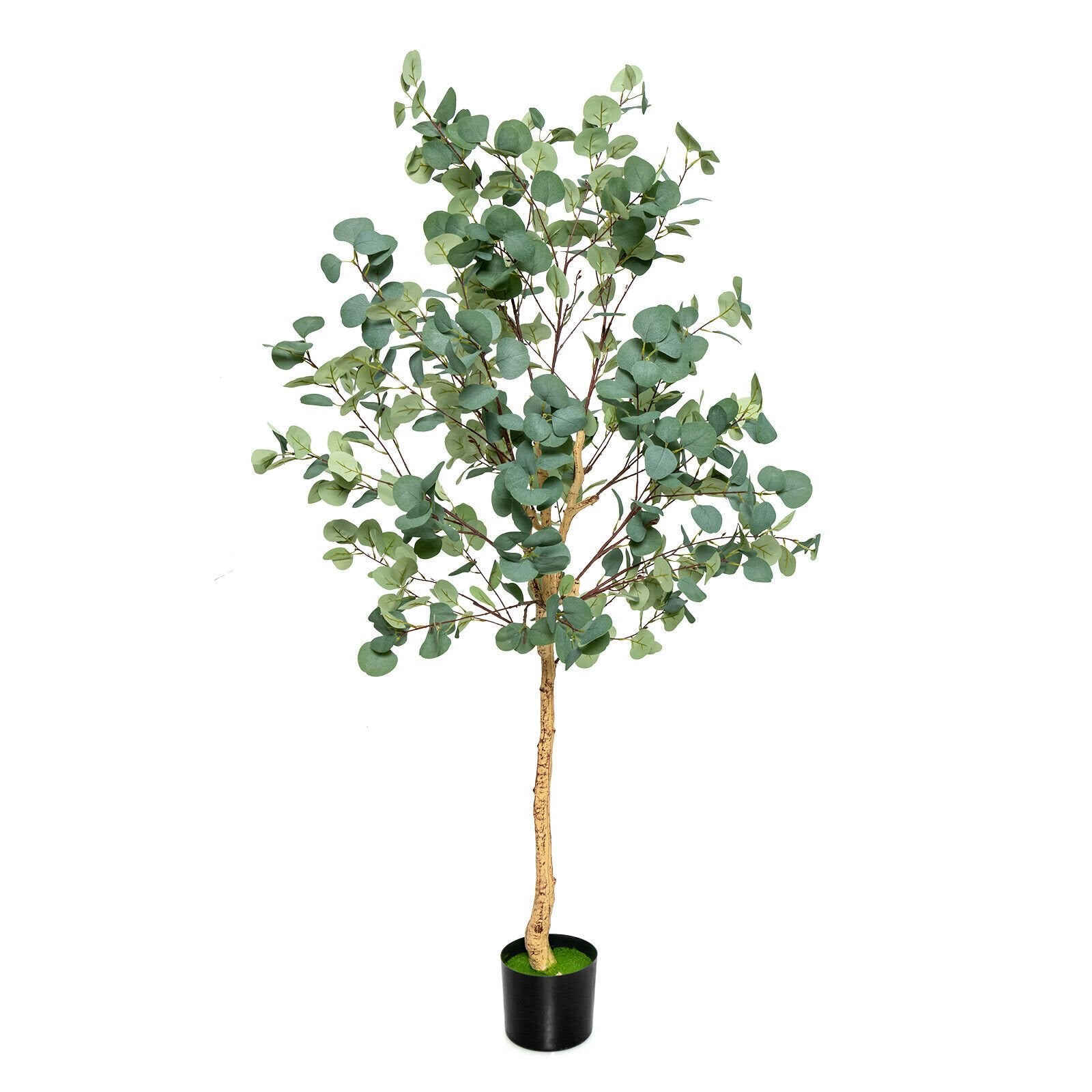 5.5 Feet Artificial Eucalyptus Tree with 517 Silver Dollar Leaves, Black & Green Faux Plants   at Gallery Canada