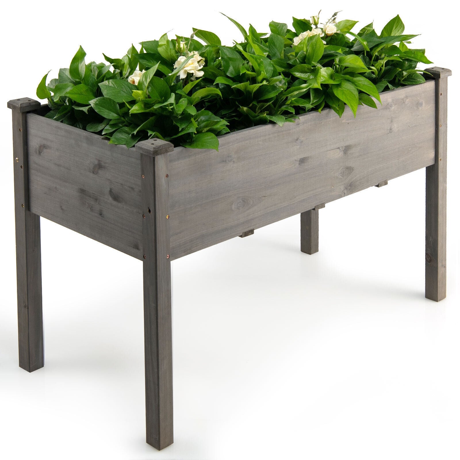 Wooden Raised Vegetable Garden Bed Elevated Grow Vegetable Planter, Gray Raised Garden Beds   at Gallery Canada