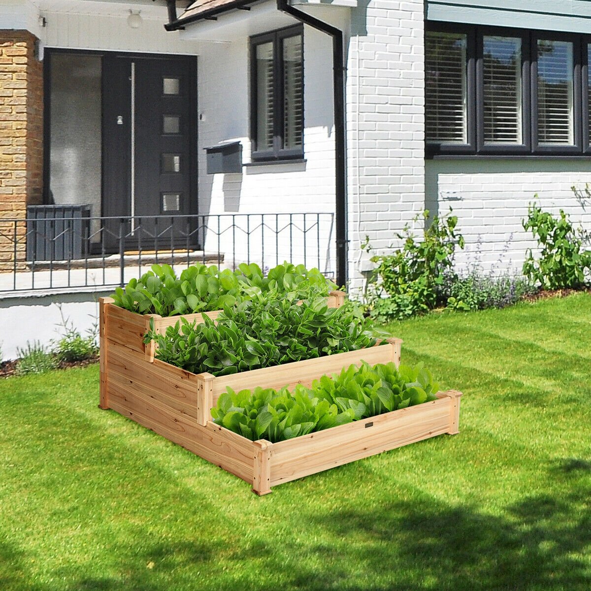 3 Tier Elevated Wooden Vegetable Garden Bed, Wood Raised Garden Beds   at Gallery Canada