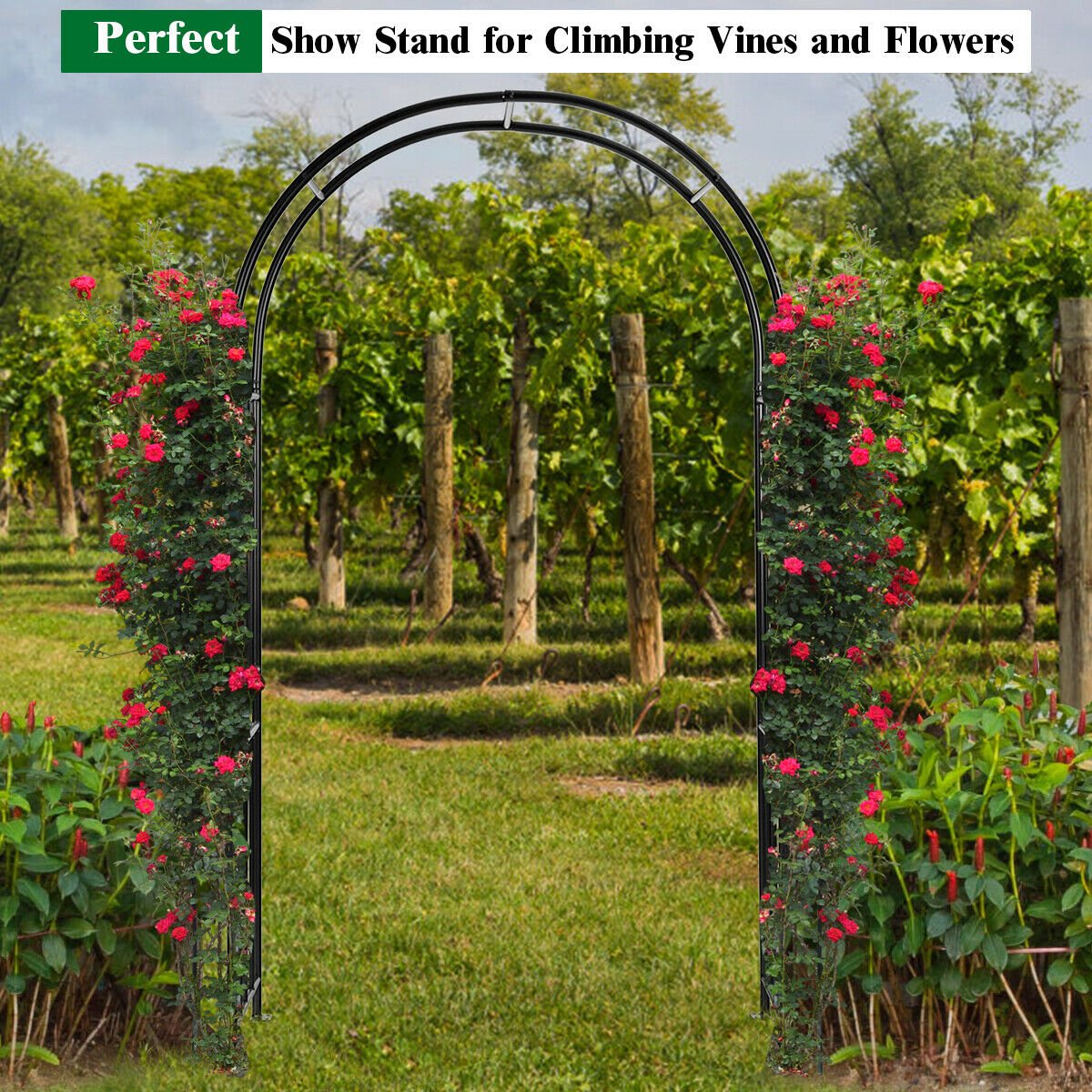 7.2 Feet Garden Decoration Climbing Plants Arch, Black Outdoor Decor   at Gallery Canada