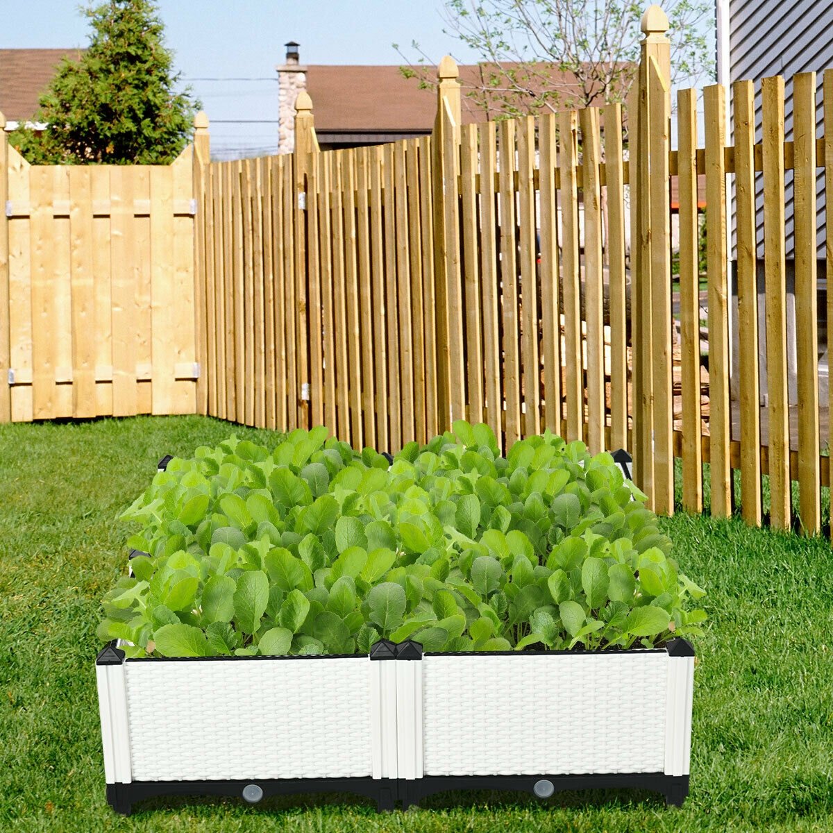 Set of 4 Elevated Flower Vegetable Herb Grow Planter Box, White Raised Garden Beds   at Gallery Canada