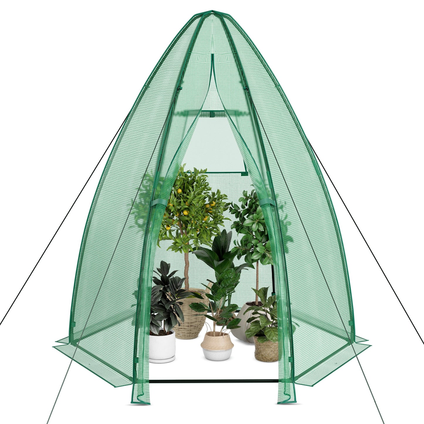 5.5 x 5.5 x 6 Feet Portable Mini Greenhouse with All-Weather PE Cover, Green - Gallery Canada