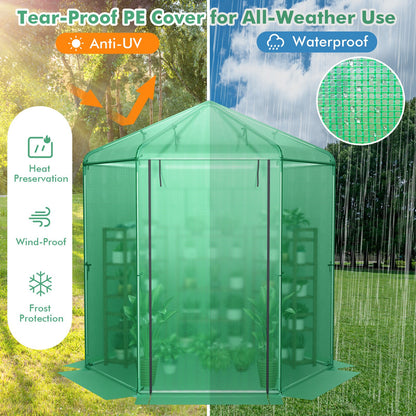 Walk-In Hexagonal Greenhouse with PE Cover and Metal Frame, Green - Gallery Canada