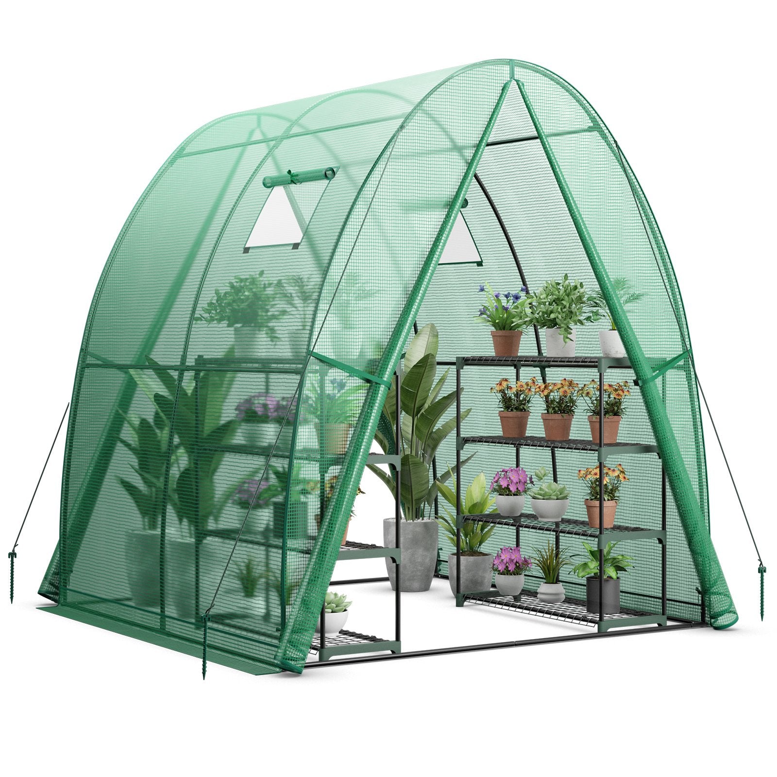 6 x 6 x 6.6 FT Outdoor Wall-in Tunnel Greenhouse, Green Greenhouses   at Gallery Canada