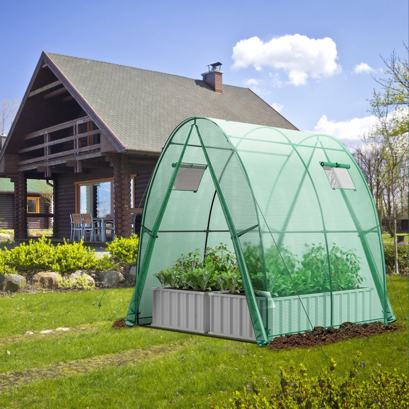 6 x 6 x 6.6 FT Outdoor Wall-in Tunnel Greenhouse, Green Greenhouses   at Gallery Canada