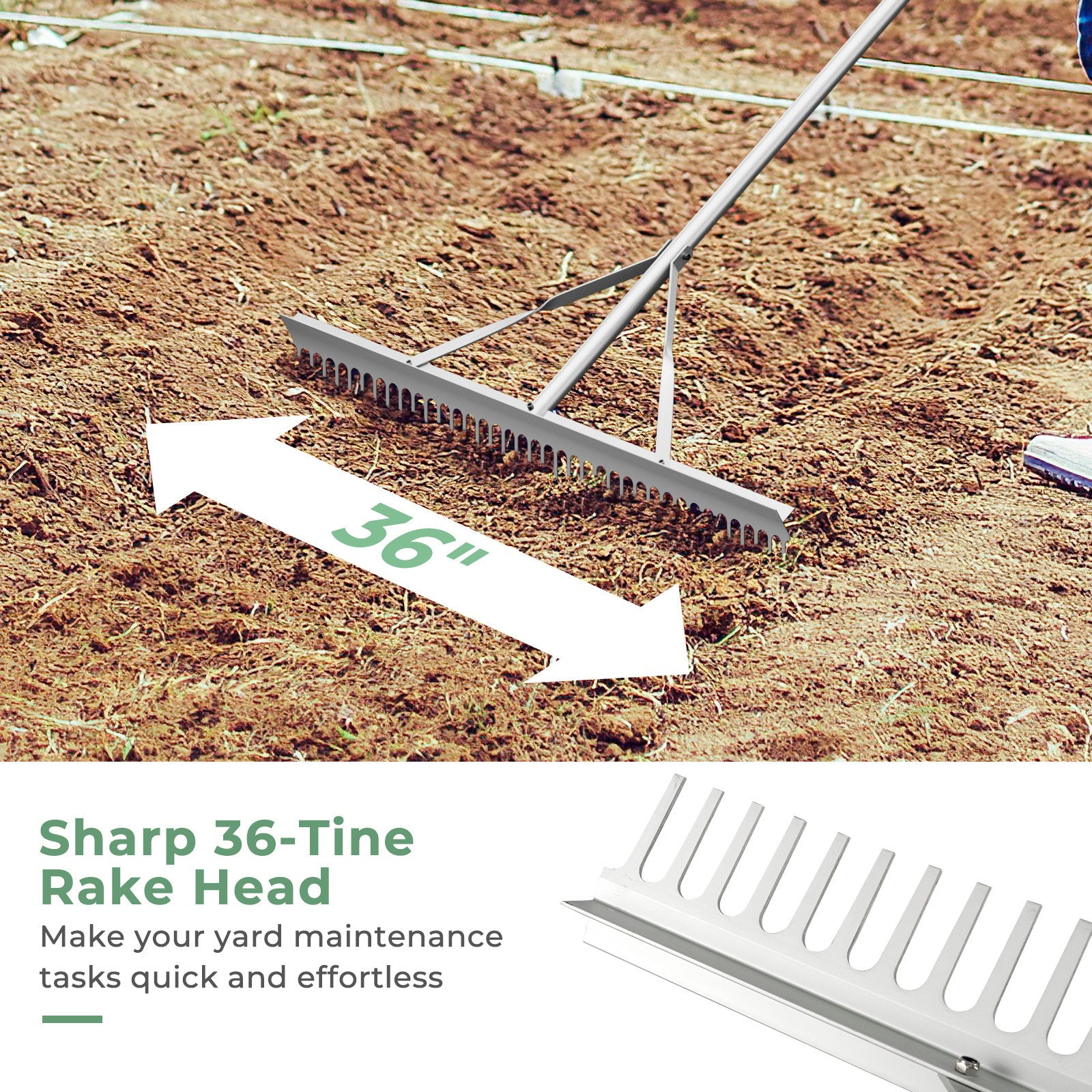 Aluminum Rake with 36