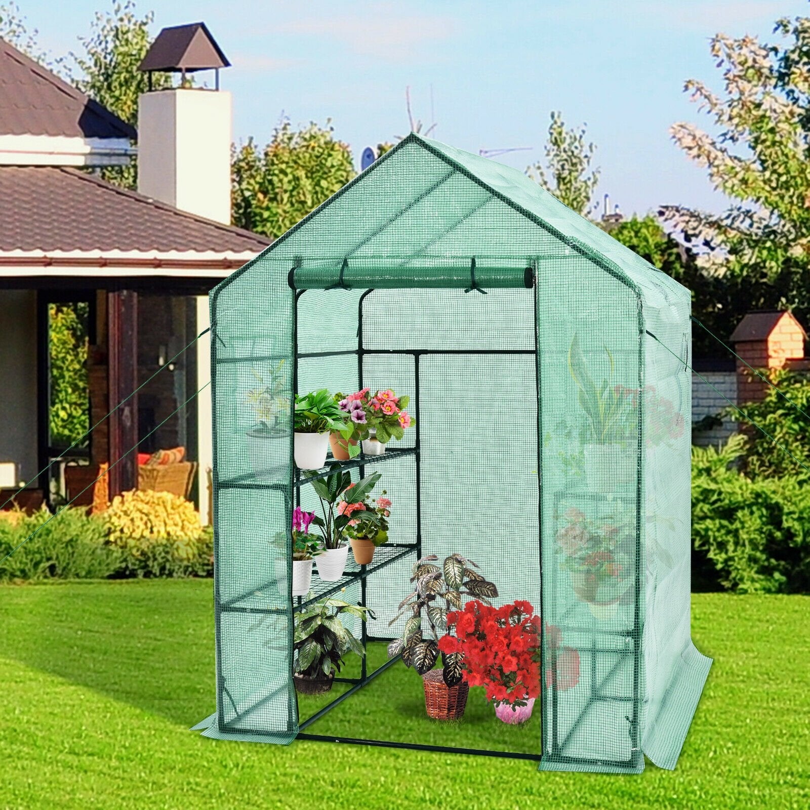 Walk-in Greenhouse 56 x 56 x 77 Inch Gardening with Observation Windows, Green Greenhouses   at Gallery Canada