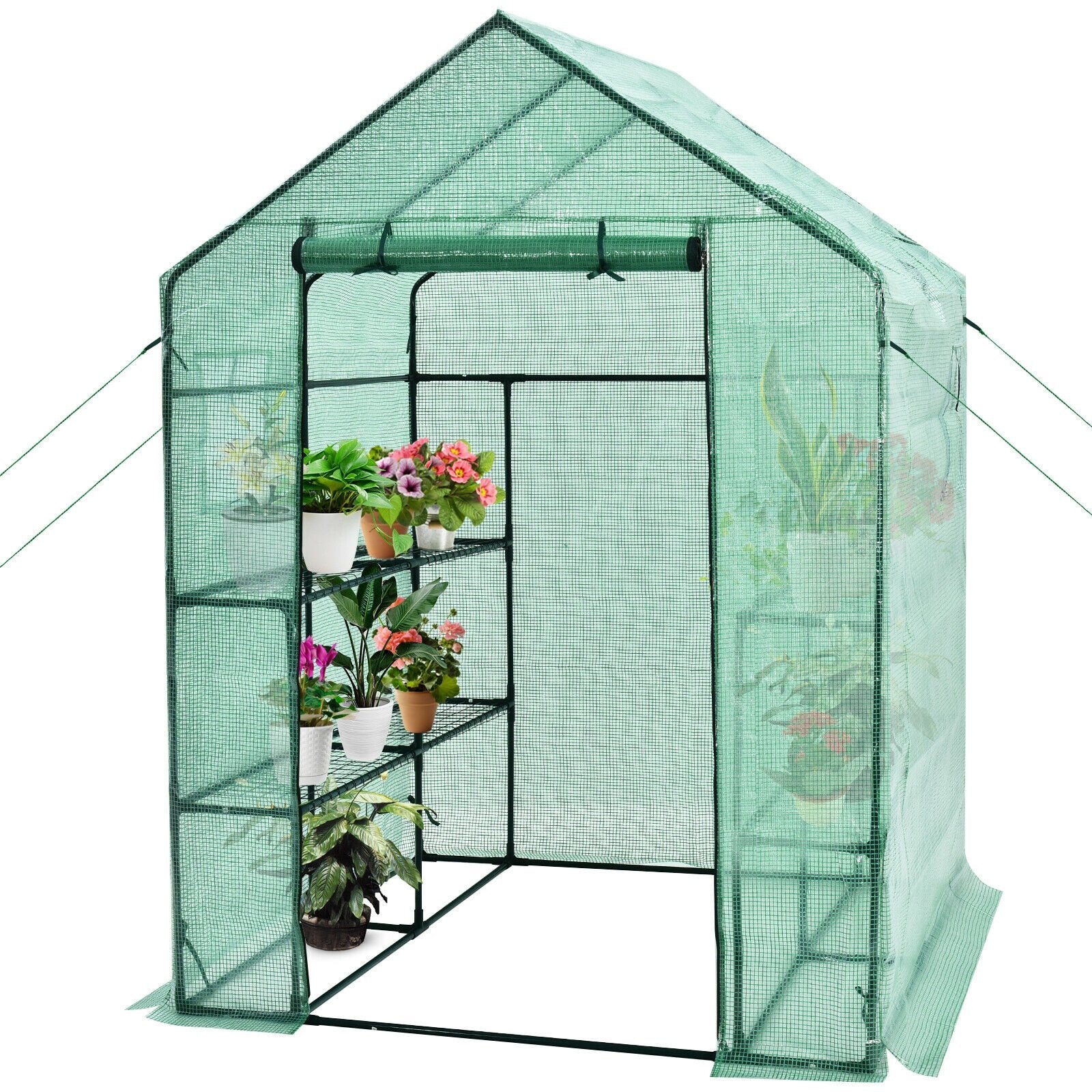 Walk-in Greenhouse 56 x 56 x 77 Inch Gardening with Observation Windows, Green Greenhouses   at Gallery Canada