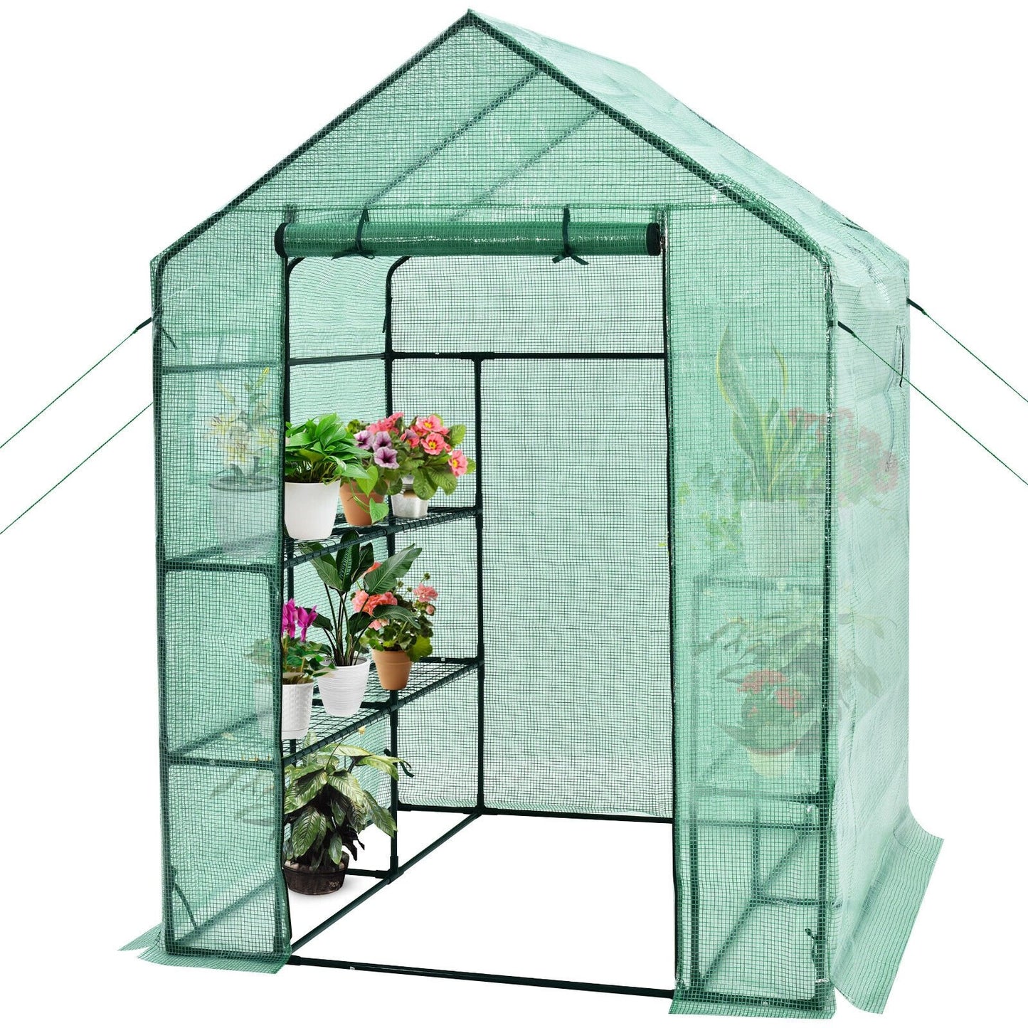 Walk-in Greenhouse 56 x 56 x 77 Inch Gardening with Observation Windows, Green - Gallery Canada