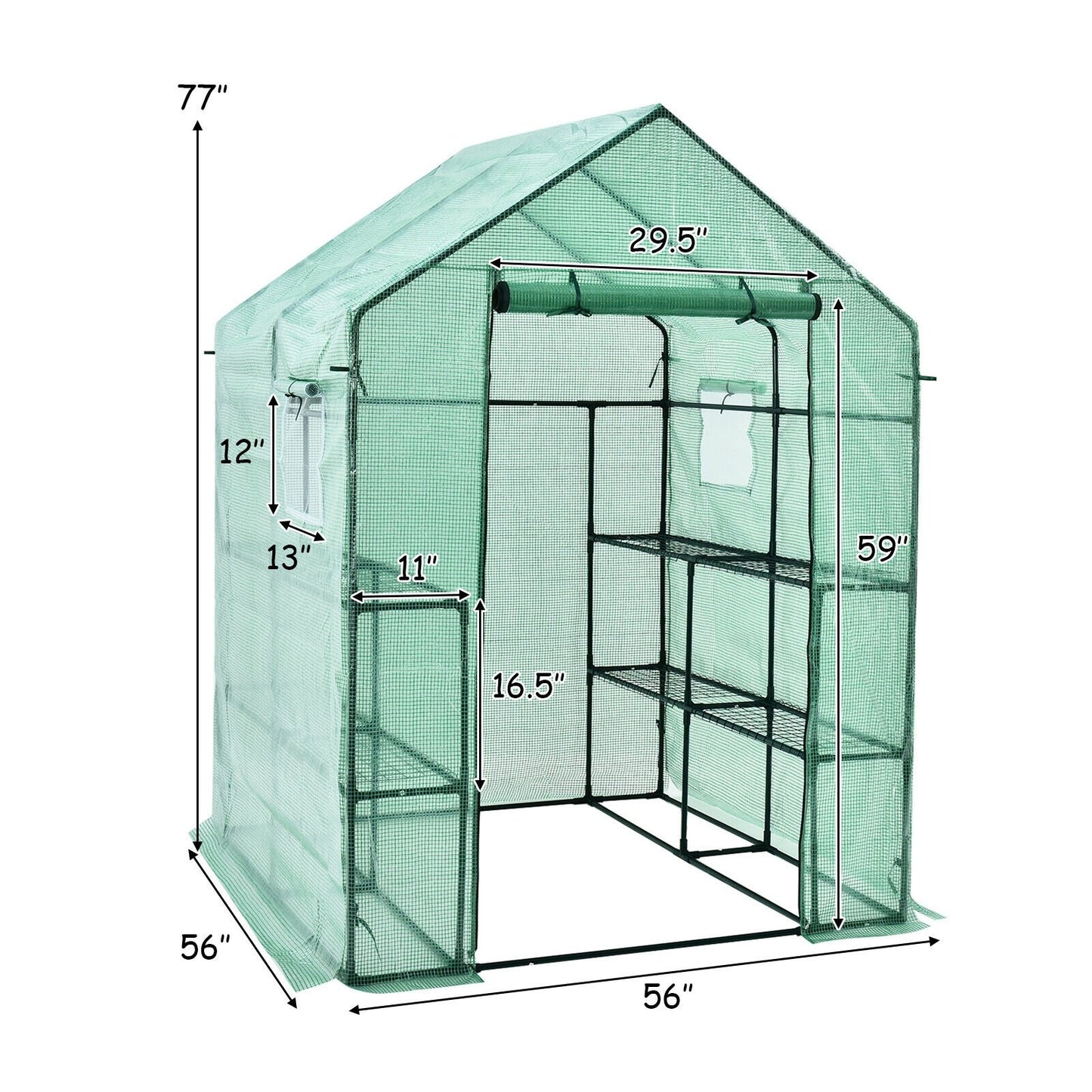 Walk-in Greenhouse 56 x 56 x 77 Inch Gardening with Observation Windows, Green - Gallery Canada