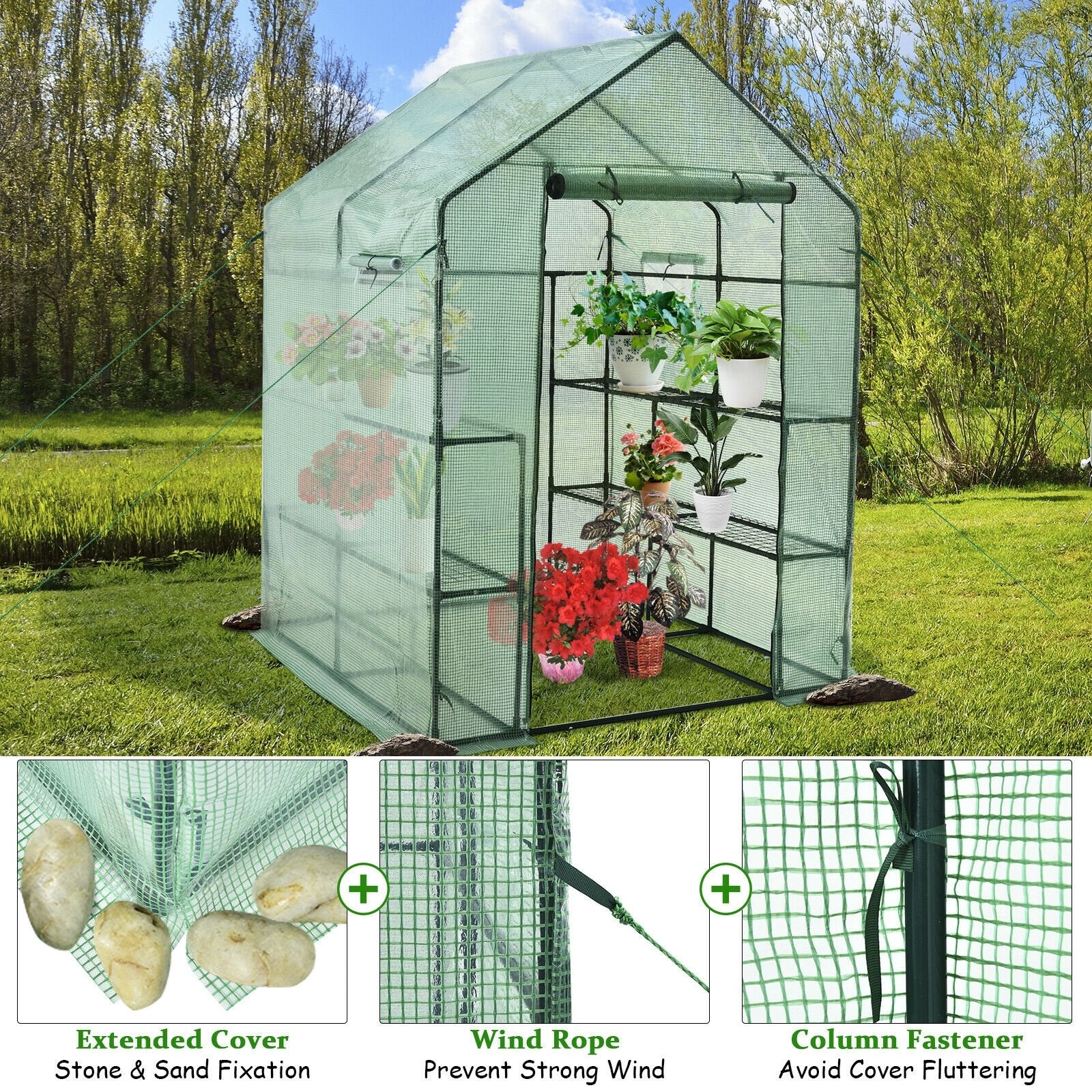 Walk-in Greenhouse 56 x 56 x 77 Inch Gardening with Observation Windows, Green Greenhouses   at Gallery Canada