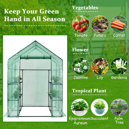 Walk-in Greenhouse 56 x 56 x 77 Inch Gardening with Observation Windows, Green - Gallery Canada