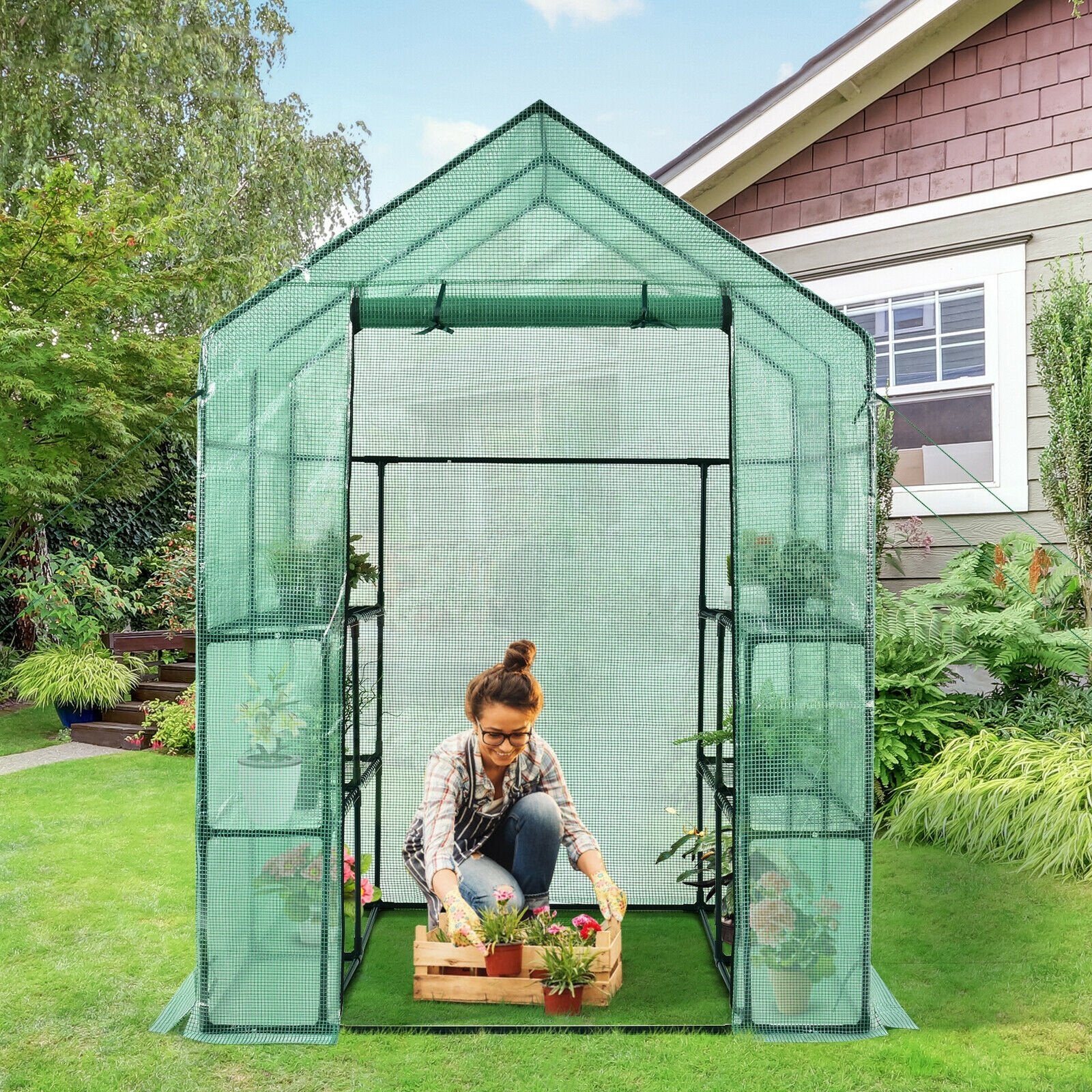 Walk-in Greenhouse 56 x 56 x 77 Inch Gardening with Observation Windows, Green Greenhouses   at Gallery Canada