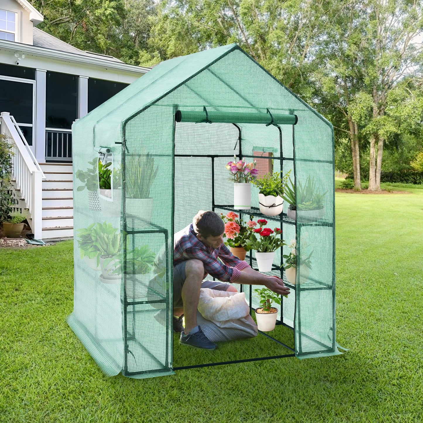 Walk-in Greenhouse 56 x 56 x 77 Inch Gardening with Observation Windows, Green - Gallery Canada