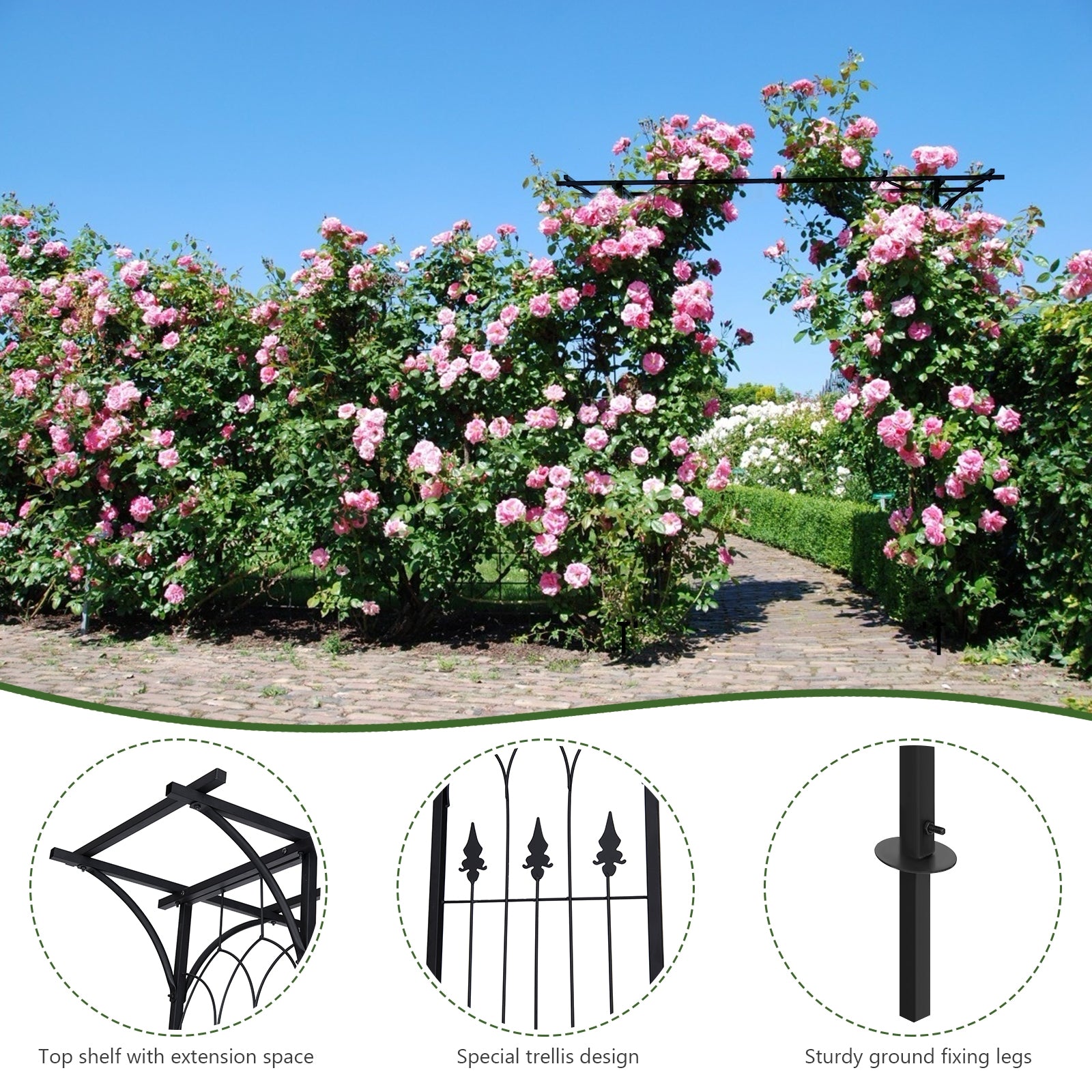 81 x 20 Inch Metal Garden Arch for Various Climbing Plant, Black Outdoor Decor   at Gallery Canada