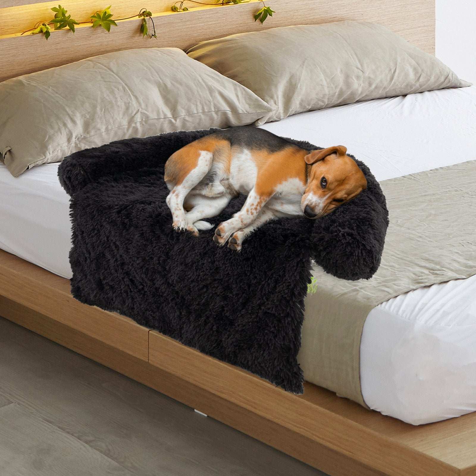 Plush Calming Dog Couch Bed with Anti-Slip Bottom-M, Black Dog Supplies   at Gallery Canada