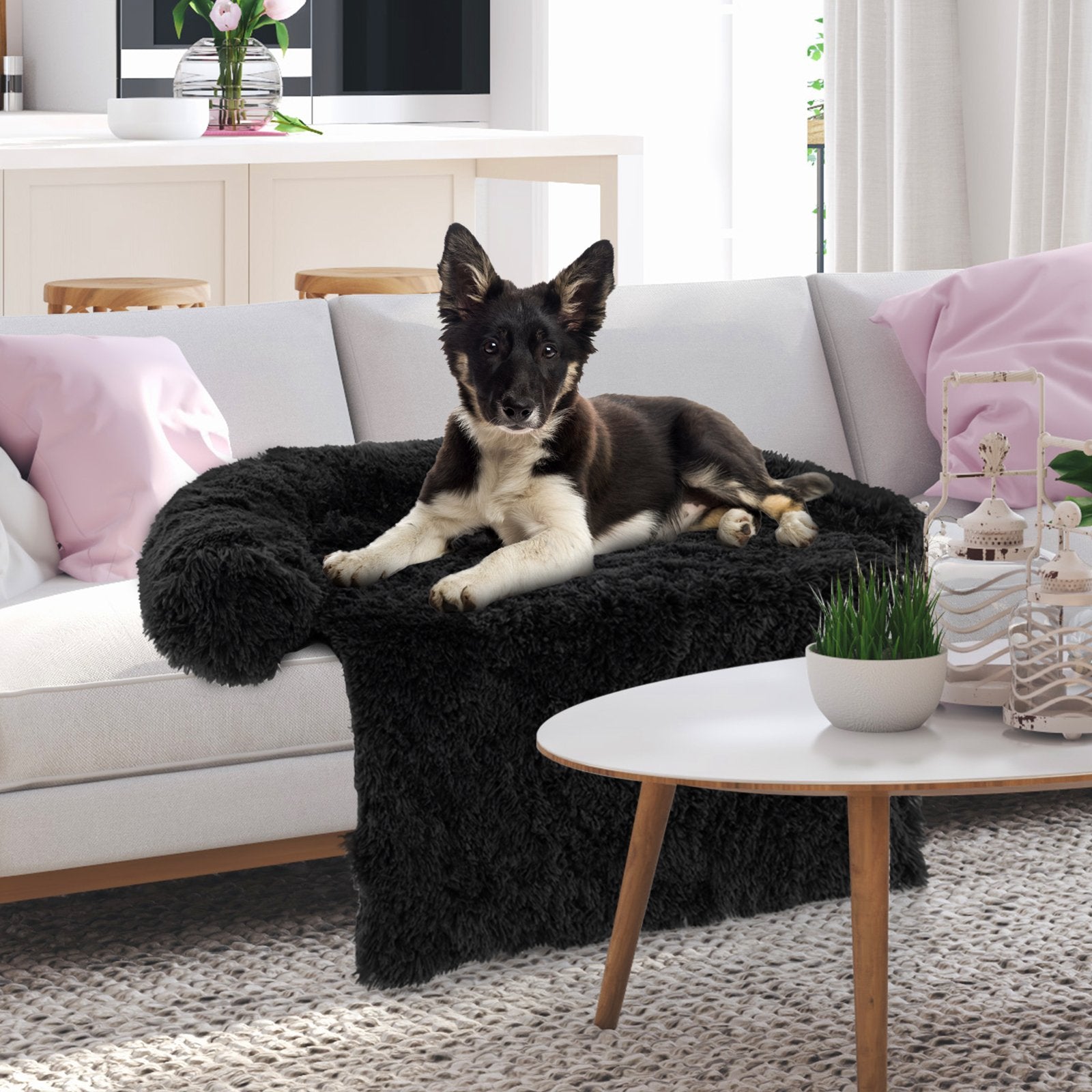 Plush Calming Dog Couch Bed with Anti-Slip Bottom-M, Black Dog Supplies   at Gallery Canada